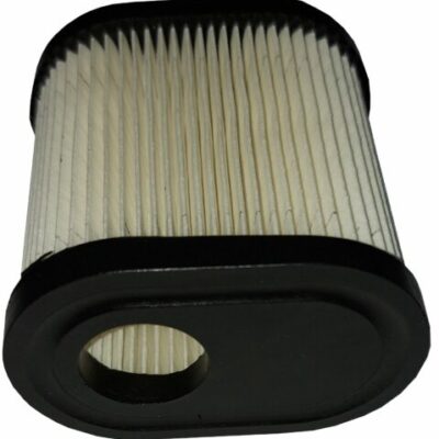 FILTRO ARIA Tec 36905-lev100-115-120